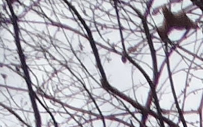 Sony Cyber-shot HX20V: umí snad všechno