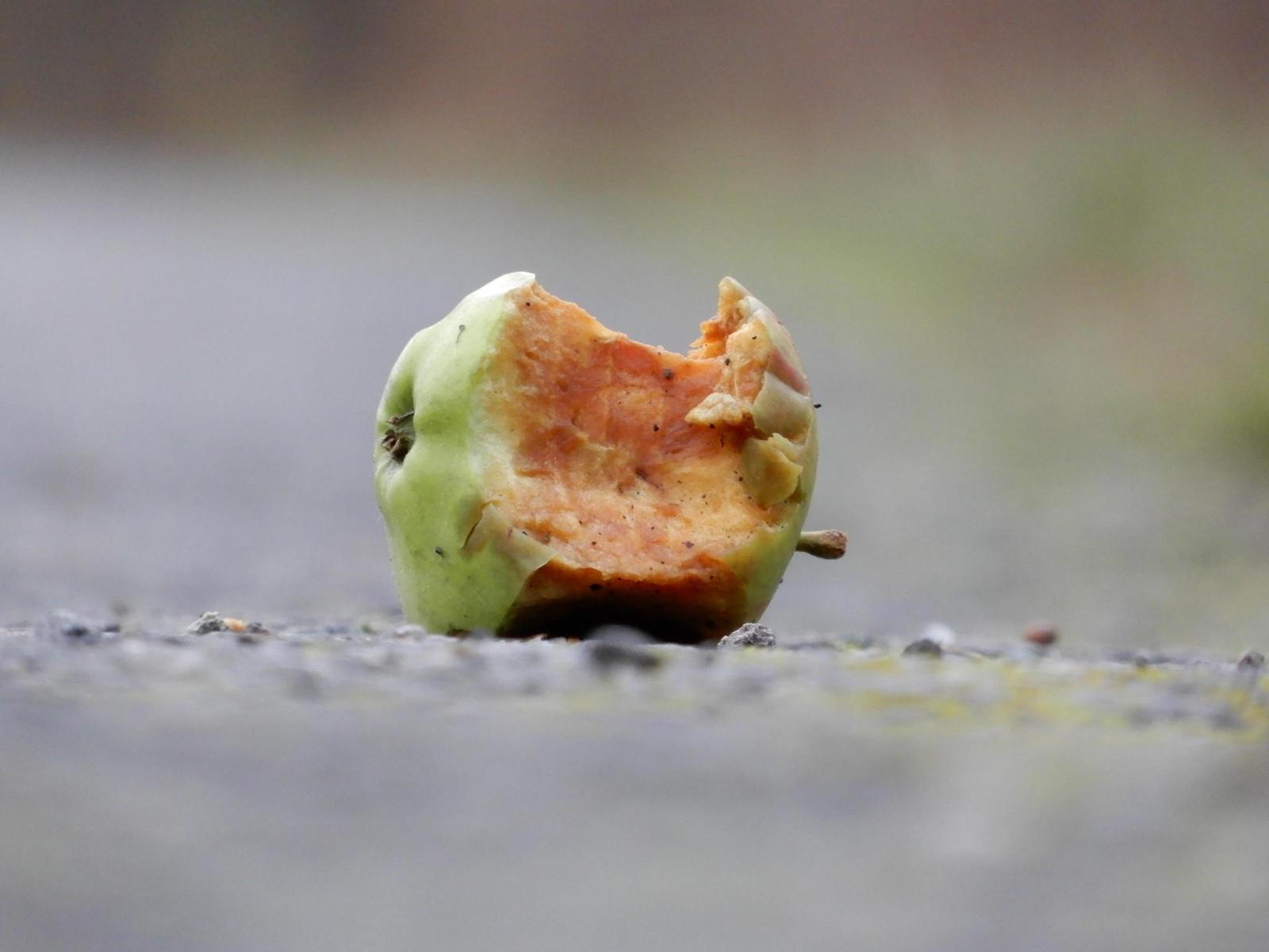 Nikon Coolpix A900: 4K do kapsy