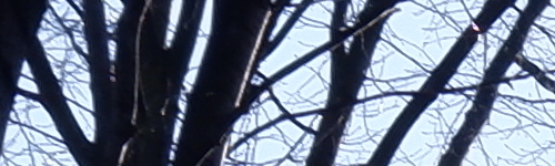 Fujinon XF 35mm F2 R WR