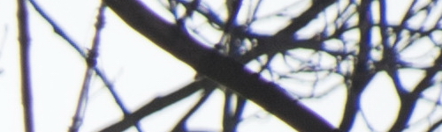 Canon EF-S 18-135mm f/3.5-5.6 IS Nano USM