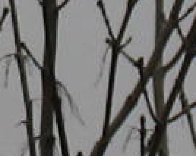 Canon A620: Malý kompakt s výklopným LCD displejem