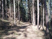 Olympus Camedia C-470 Zoom: Americký D-590