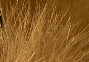 Nikon D5300: bezdrátový DSLR turista