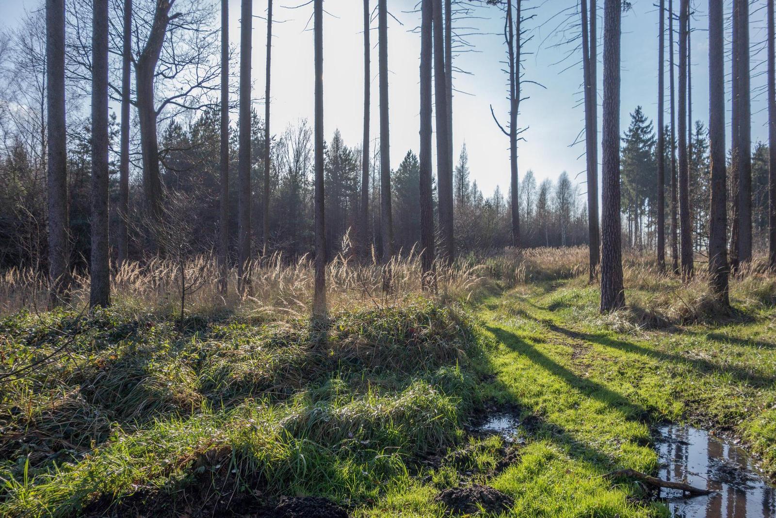 DSLR vs kompakt: Canon EOS 1200D s 18-55mm, Sony RX100