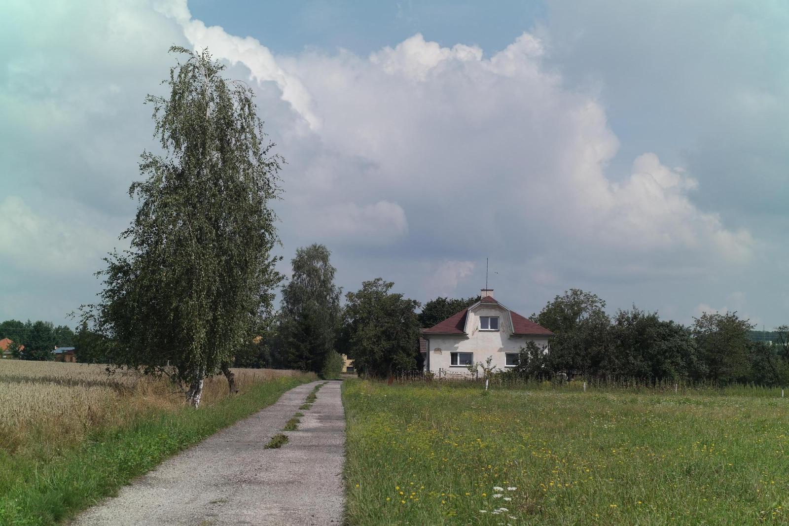 Olympus OM G.Zuiko 50mm f/1.4 "silver-nose"