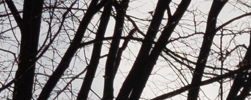 Panasonic Leica DG Vario-Summilux 10-25mm F1.7 ASPH.