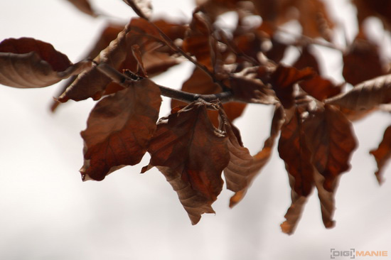 Samsung 18-200mm F3.5-6.3 ED OIS