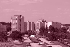 Nikon D3100: základ nabídky DSLR