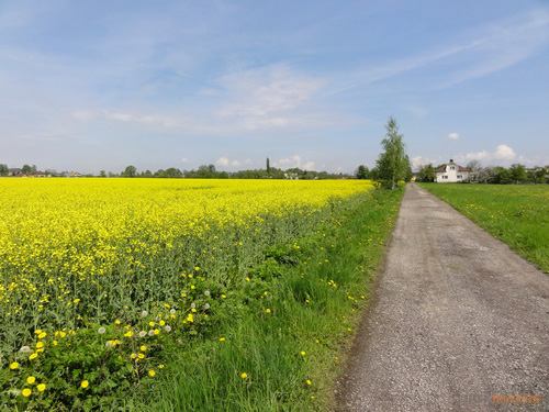 Sony Cyber-shot HX5: pan téměř dokonalý