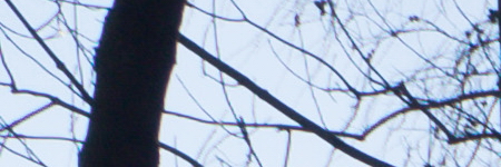 Olympus M.Zuiko Digital ED 14-42mm 1:3.5-5.6 EZ Pancake