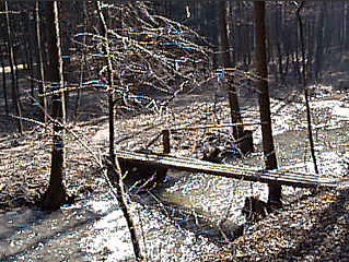 Olympus Camedia C-470 Zoom: Americký D-590