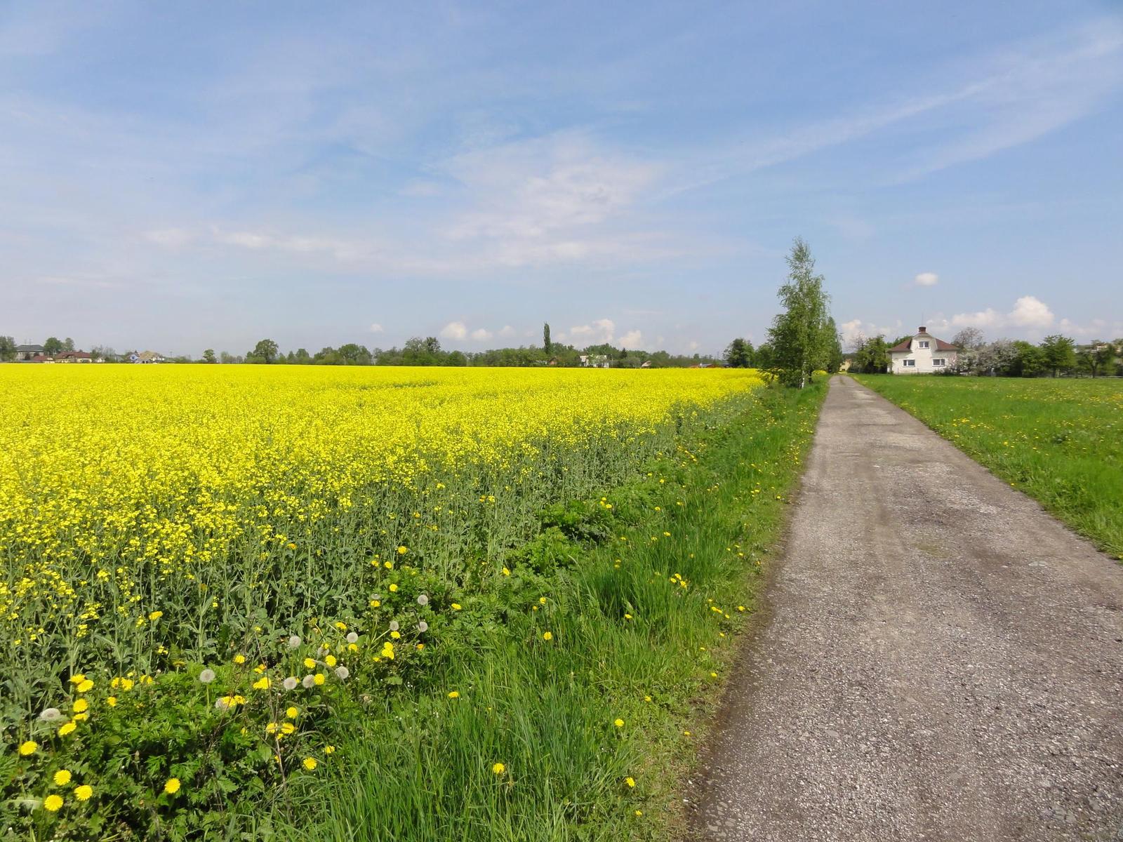 Sony Cyber-shot HX5: pan téměř dokonalý