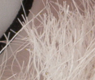 Sony A7R II (ILCE-7RM2): detaily na druhou