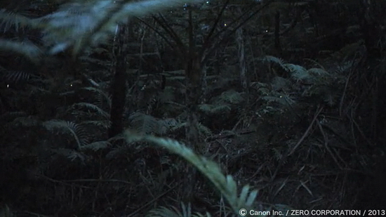 Canon zveřejnil video z nového Full HD full frame senzoru