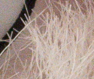 Sony A7R II (ILCE-7RM2): detaily na druhou