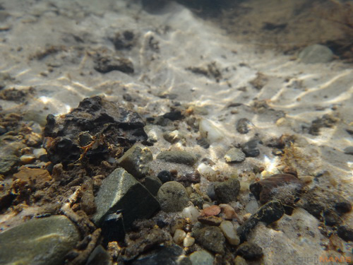 Sony Cyber-shot TX10: odolný zálesák