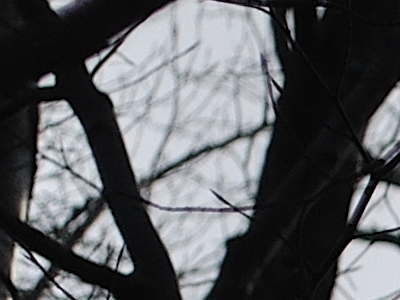 Postačí setový objektiv? Nikon vs. Sigma a Tamron