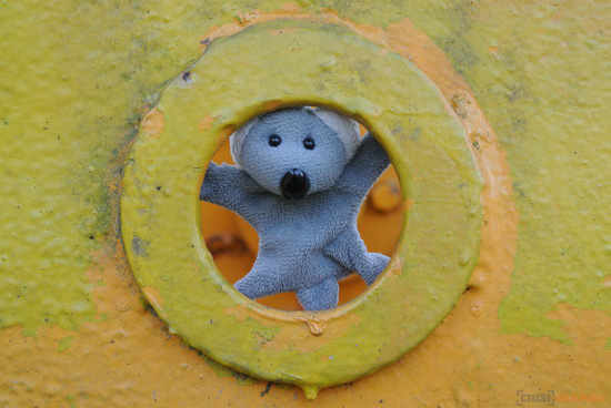 Fotíme s Koalou: Sluneční clona