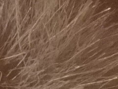 Fujifilm X100: splněný sen