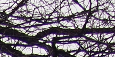 Olympus M.Zuiko Digital 14-42mm 1:3,5-5,6 II R