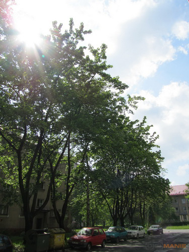 Canon PowerShot SX210 IS: s překvapivou zbraní