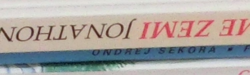 Casio EXILIM ZR100: kapesní formule