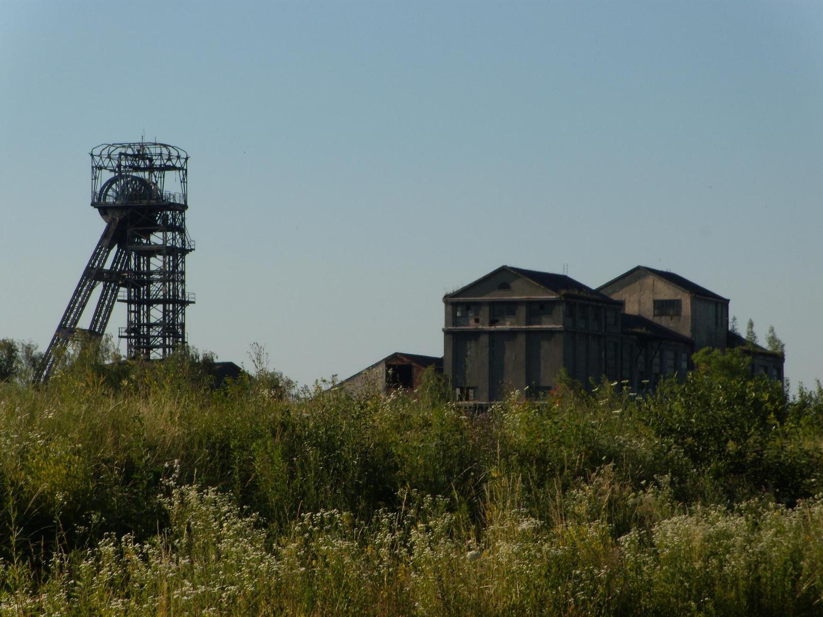 Nikon Coolpix P60: rychlý maratonec