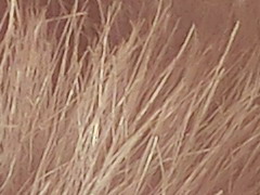 Casio EXILIM ZR100: kapesní formule