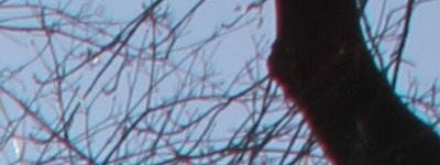 Megatest ultrazoomových objektivů