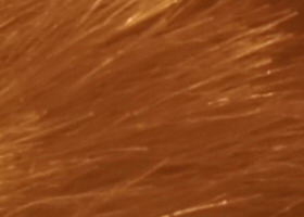 Sony Alpha SLT-A35: úspěšně proti zrcadlovkám