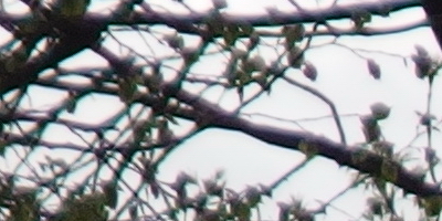 Olympus Stylus XZ-2: jednoduše skvělý