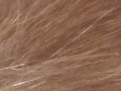 Nikon Coolpix P500: univerzální dalekohled