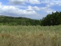 Acer CP-8660: zajímavý rebrand