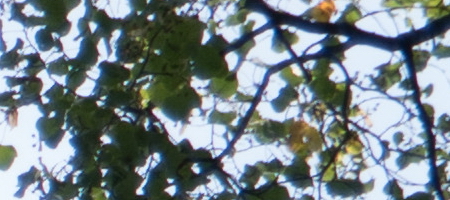 Samsung 16-50mm 1:3.5-5.6 ED OIS Power Zoom