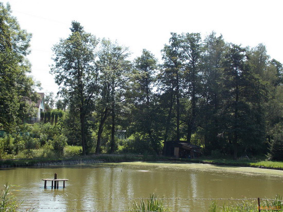 Nikon Coolpix L810: pro nenáročné