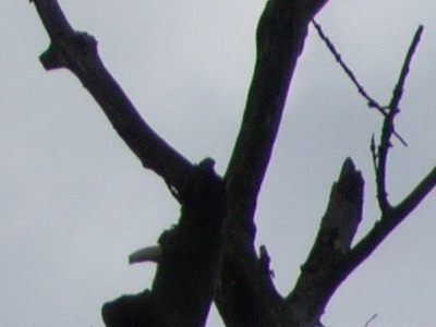 Canon PowerShot S90: malý zázrak