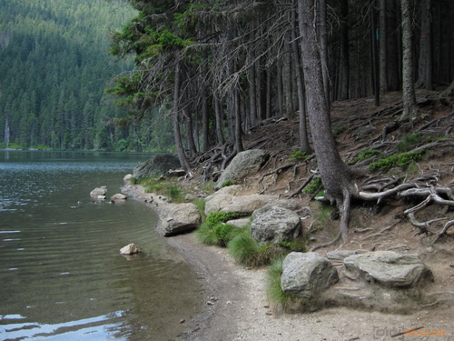 Canon IXUS 300 HS: superstylovka i pro náročné