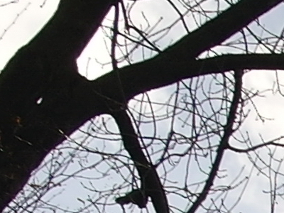 Samsung NX100: "zrcadlovka" do kapsy