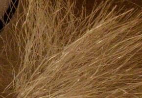 Nikon Coolpix A: velmi příjemná (ne)výraznost