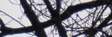 Samsung NX-M 9-27mm F3.5-5.6 OIS