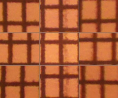 Fujifilm FinePix HS10: ultrazoom roku?