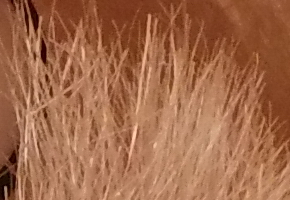 BenQ GH600 a GH700: levné překvapení