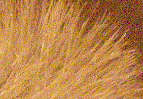 Sony NEX-C3: drobek s velkým srdcem