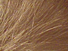 Fujifilm FinePix HS20EXR: důstojný nástupce