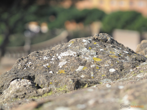 Canon PowerShot G10: stále mezi nejlepšími