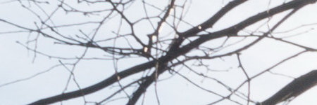 Panasonic Lumix G Vario 35-100mm F4-5.6 MEGA O.I.S.