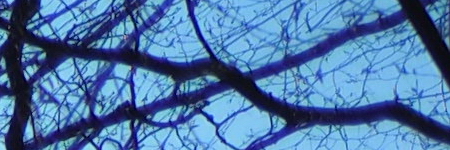 Olympus M.Zuiko Digital 25mm 1:1.8