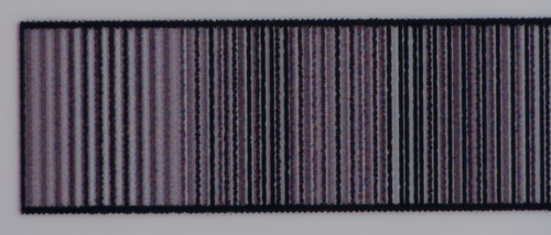 Epson Stylus Photo PX720WD: multifunkční krasavec