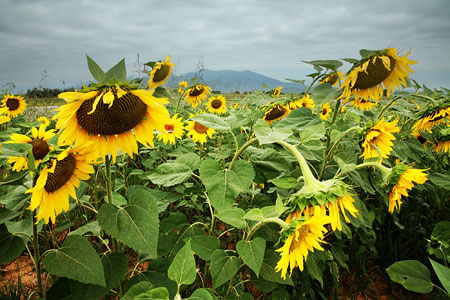 DSLR na cestě časem - 17. díl
