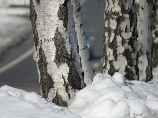 Canon PowerShot SX50 HS: překvapivá kombinace